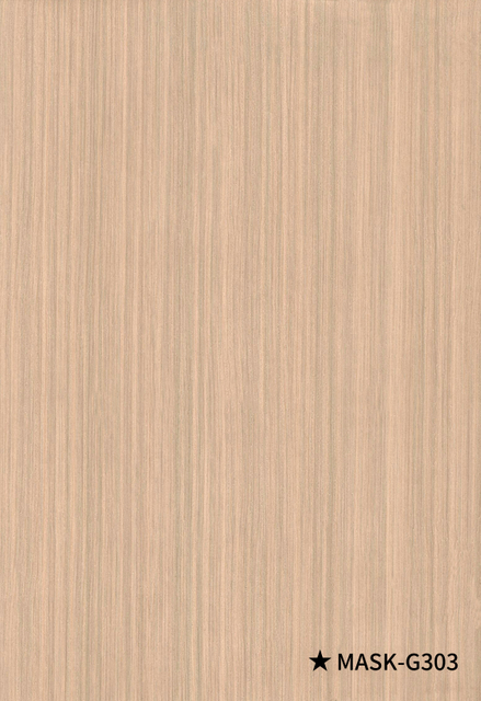 22 ، قناع- G303 HC 浮 16S